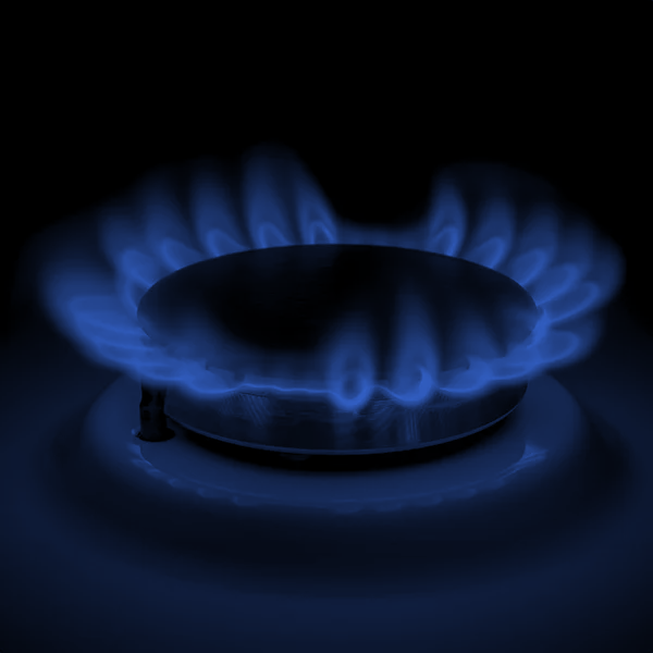 Bulgarian Energy Holding Bond 2025