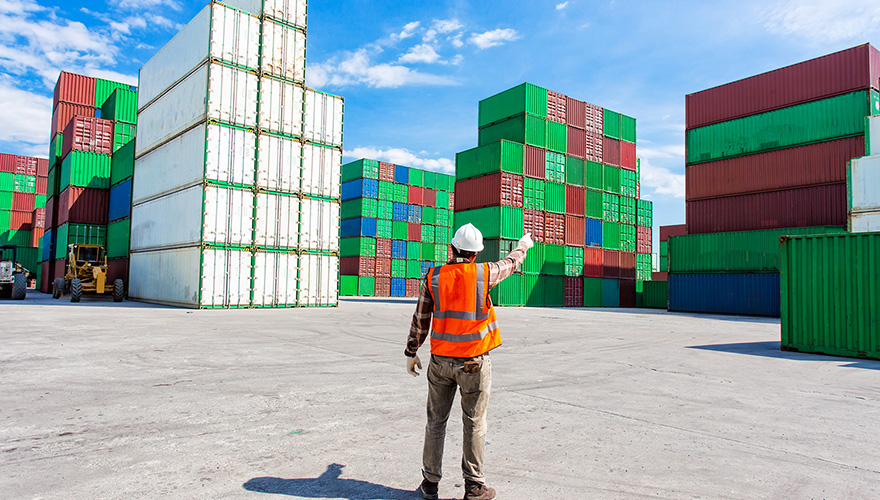 The image for procurement