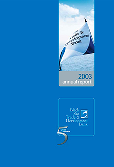 Annual Report 2004