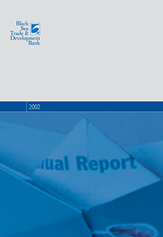Annual Report 2003