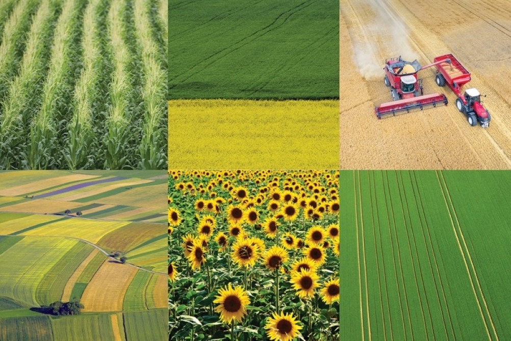 2024 07 04 Agricover