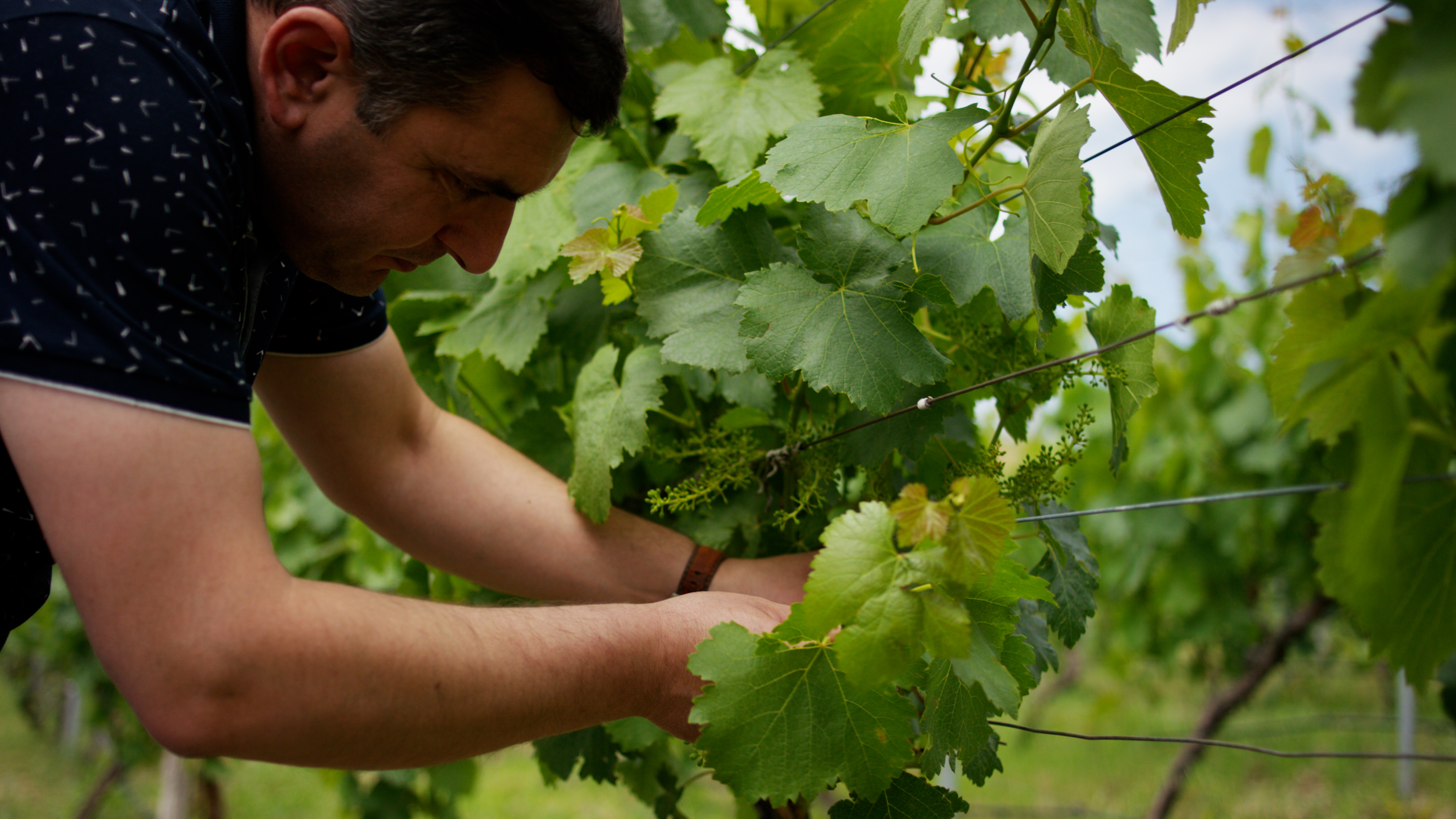 2024 11 28 Basisbank